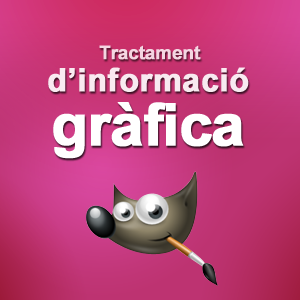 Tractament de la informació gràfica (mitjà)